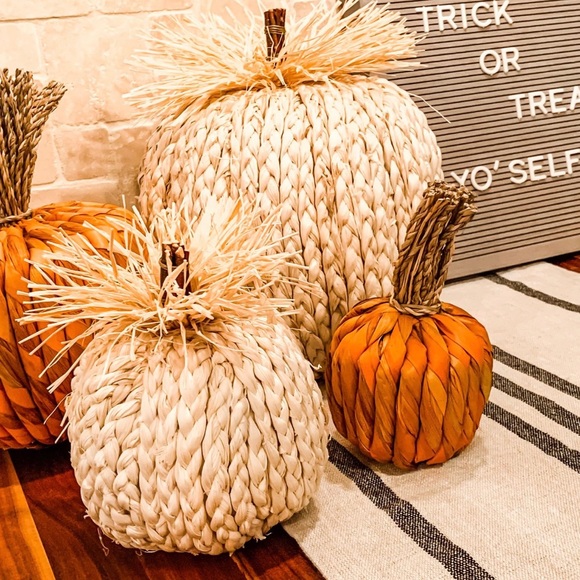 Opalhouse Other - NWT Water Hyacinth Pumpkin Opalhouse™